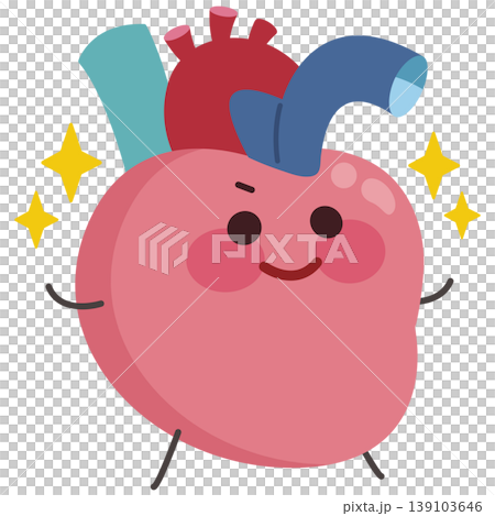 健康な心臓（右向き） 139103646