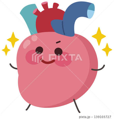 健康な心臓(左向き) 健康な心臓(左向き) 139103727