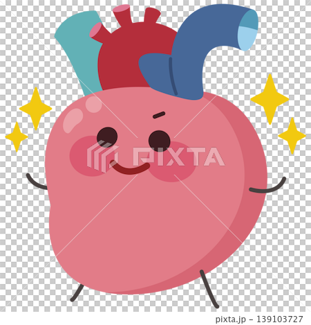 健康な心臓(左向き) 健康な心臓(左向き) 139103727