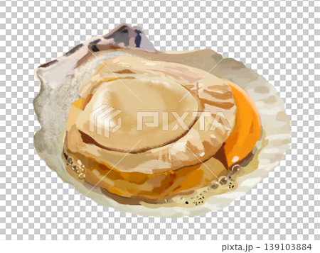 Grilled scallops in their shells 139103884
