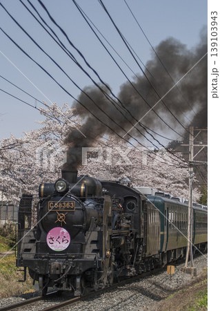SLパレオエクスプレスと桜並木 SLパレオエクスプレスと桜並木 139103943