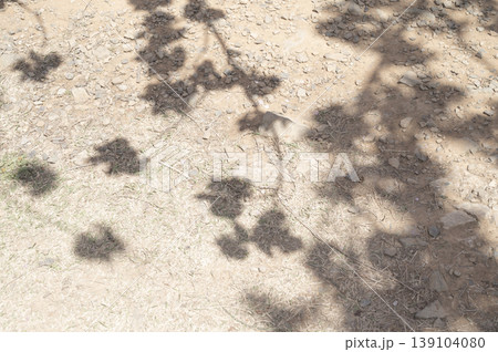Tree shadow background on the floor 139104080