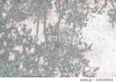 Tree shadow background on the floor 139104081
