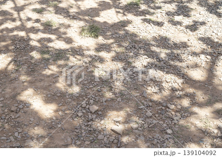 Tree shadow background on the floor Tree shadow background on the floor 139104092