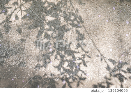 Tree shadow background on the floor Tree shadow background on the floor 139104096