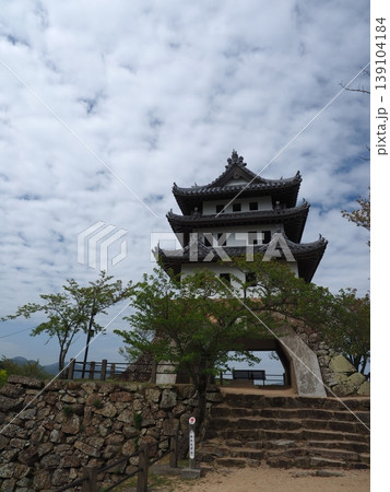 三熊山の山頂に佇む洲本城 三熊山の山頂に佇む洲本城 139104184