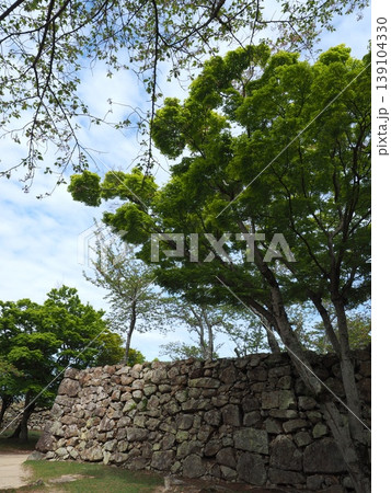 淡路島・洲本城跡に残る野面積みの石垣、新緑に包まれた歴史遺構 139104330