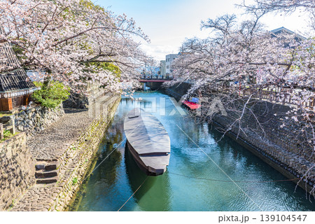 満開の桜　名勝　おくのほそ道の風景地　大垣船町川湊 139104547
