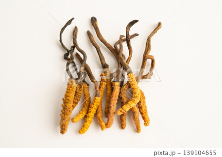 Cordyceps sinensis or Ophiocordyceps sinensis isolated on white background, mushroom herb treatment medicine. Cordyceps sinensis or Ophiocordyceps sinensis isolated on white background, mushroom herb treatment medicine. 139104655