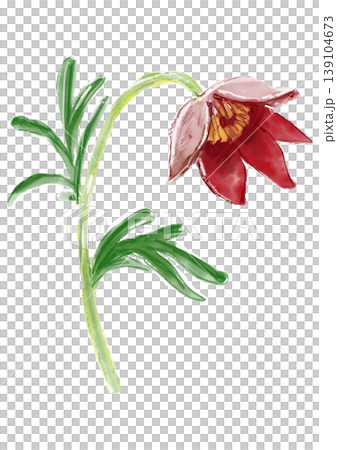 咲き誇るオキナグサの花の手描きの水彩イラスト 139104673