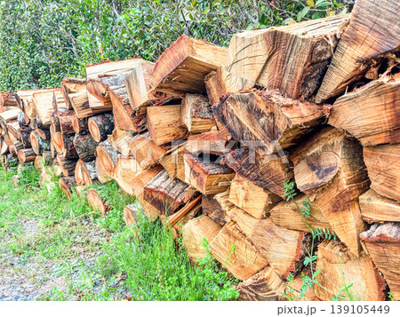 積まれた薪 積まれた薪 139105449