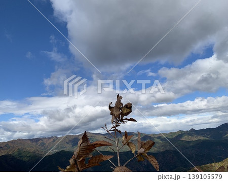山頂の草木から見渡す空 山頂の草木から見渡す空 139105579