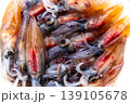 ホタルイカ 139105678