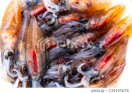 ホタルイカ 139105678