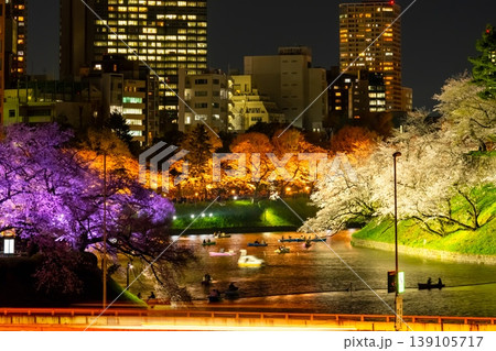 東京・千鳥ヶ淵　夜桜 139105717