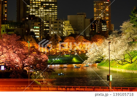 東京・千鳥ヶ淵 夜桜 東京・千鳥ヶ淵 夜桜 139105718