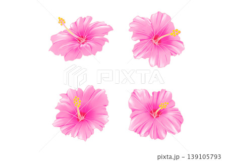 ピンク色のハイビスカスの花の水彩イラストセット ピンク色のハイビスカスの花の水彩イラストセット 139105793