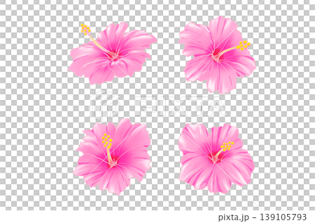 ピンク色のハイビスカスの花の水彩イラストセット ピンク色のハイビスカスの花の水彩イラストセット 139105793