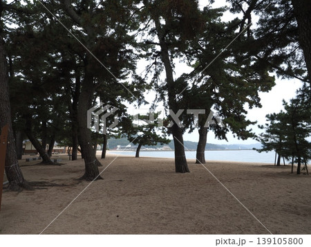 淡路島・大浜海水浴場の白砂青松、松林が続く静かな海岸線の風景 淡路島・大浜海水浴場の白砂青松、松林が続く静かな海岸線の風景 139105800