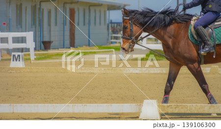 馬場馬術の横歩き 馬場馬術の横歩き 139106300