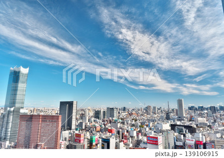 新宿の高層ビルから見られる雲のある快晴の青空とビル群が広がる都会の街の風景 139106915
