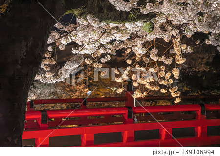 260411中橋夜桜g017 260411中橋夜桜g017 139106994