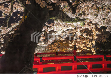 260411中橋夜桜g018 139106995