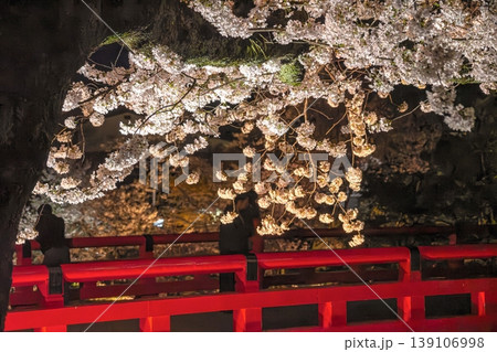 260411中橋夜桜g027 260411中橋夜桜g027 139106998