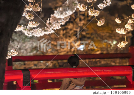 260411中橋夜桜g034 260411中橋夜桜g034 139106999