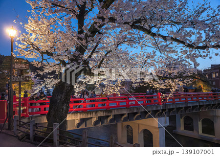 260411中橋夜桜z002 260411中橋夜桜z002 139107001