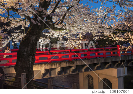260411中橋夜桜z006 139107004