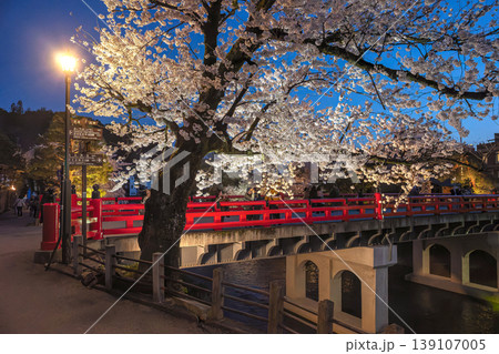 260411中橋夜桜z007 139107005