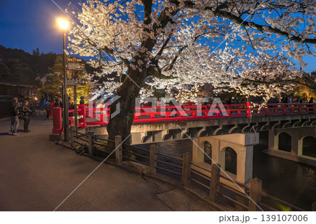 260411中橋夜桜z010 139107006
