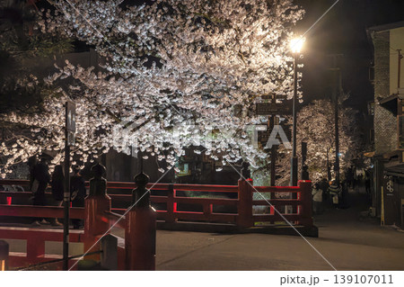 260411中橋夜桜z052 260411中橋夜桜z052 139107011