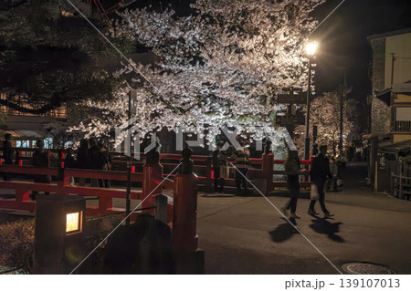 260411中橋夜桜z060 139107013