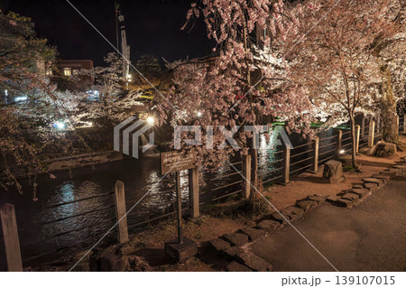 260411中橋夜桜z066 139107015