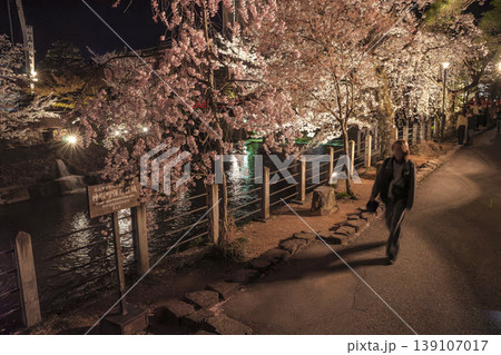 260411中橋夜桜z075 260411中橋夜桜z075 139107017