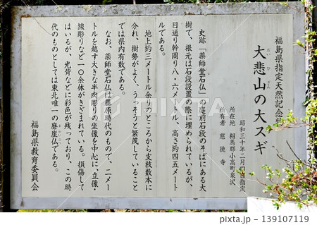 【南相馬市　福島県指定天然記念物「大悲山の石仏」大悲山の大スギ説明書き】 139107119