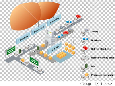 illustration, medicine, vector 139107202