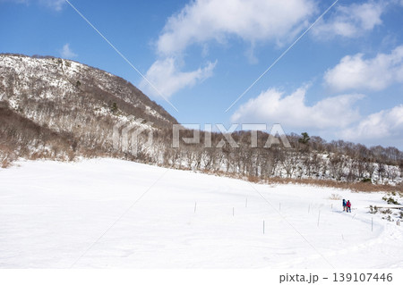 森の新雪をスノーシューで楽しむイメージ 大山鏡ヶ成 森の新雪をスノーシューで楽しむイメージ 大山鏡ヶ成 139107446