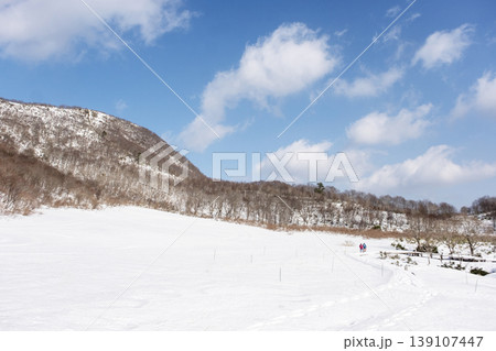 森の新雪をスノーシューで楽しむイメージ　大山鏡ヶ成 139107447