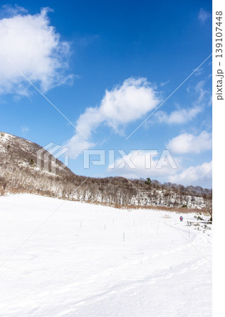 森の新雪をスノーシューで楽しむイメージ 大山鏡ヶ成 森の新雪をスノーシューで楽しむイメージ 大山鏡ヶ成 139107448