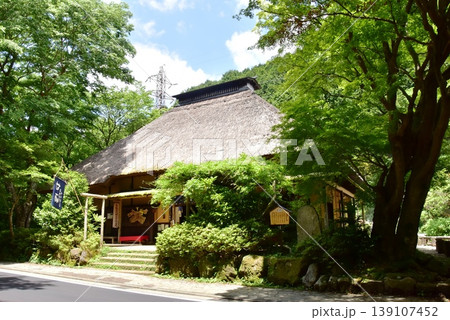 箱根町　甘酒茶屋と新緑 139107452
