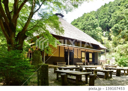 箱根町　甘酒茶屋と新緑 139107453