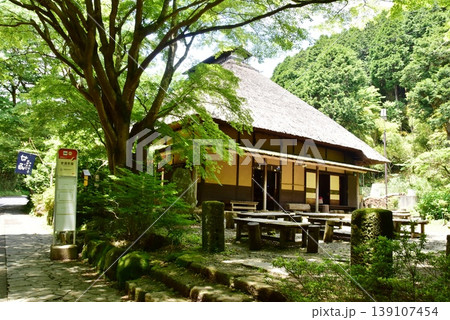 箱根町　甘酒茶屋と新緑と甘酒茶屋バス停 139107454