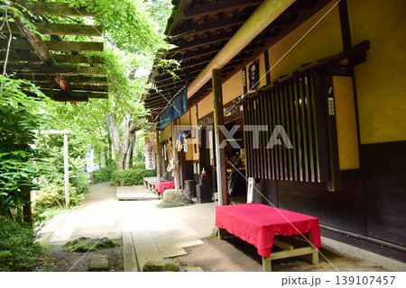 箱根町　甘酒茶屋前休憩スペースと新緑 139107457