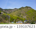 長野県埴科郡坂城町の山々に咲く山桜の花をお楽しみ下さい。 139107623