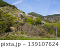 長野県埴科郡坂城町の山々に咲く山桜の花をお楽しみ下さい。 139107624