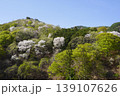 長野県埴科郡坂城町の山々に咲く山桜の花をお楽しみ下さい。 139107626