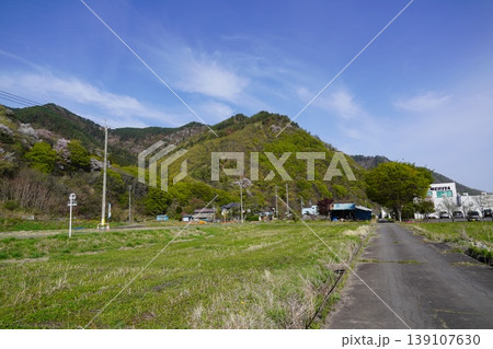 長野県埴科郡坂城町の山々に咲く山桜の花をお楽しみ下さい。 長野県埴科郡坂城町の山々に咲く山桜の花をお楽しみ下さい。 139107630